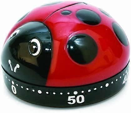 Dww-A Minuteur Forme de Coccinelle