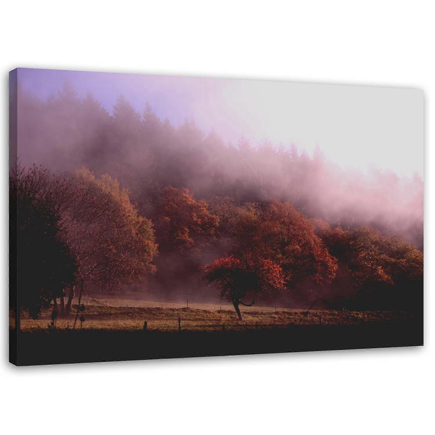 Fotobehang, Bomen in de mist - 120x80