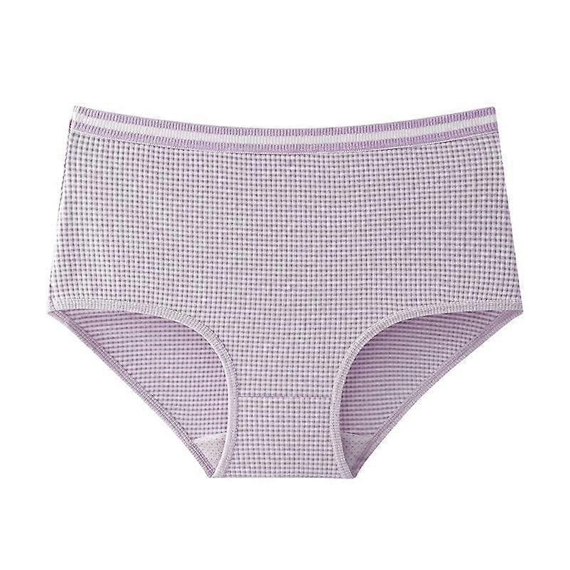 Thermal Underwear Plus Size Panties Women's Medium High Waist Briefs Thick Triangle Pants for Women