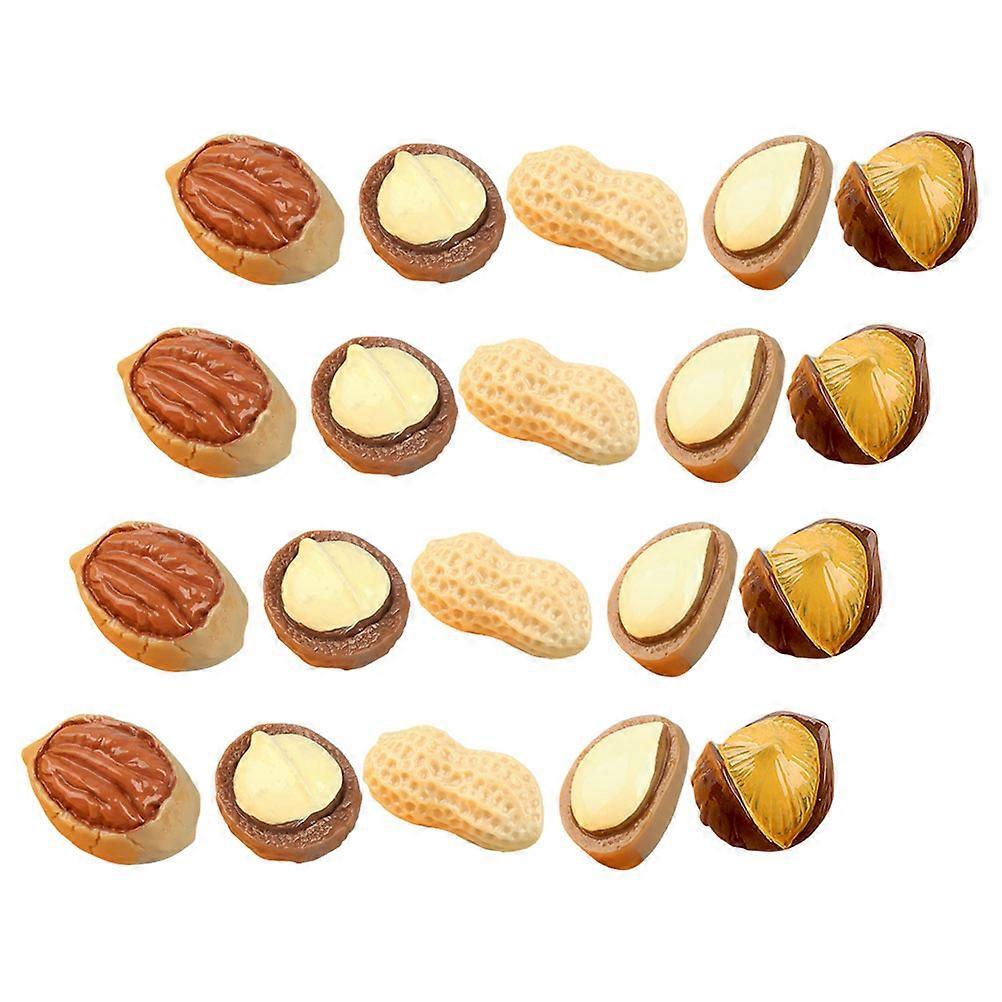 20pcs Miniature Nut Resin Models High Simulation Dollhouse Decor DIY Craft Embellishments Lightweight Mixed Style for Photo Props and Scene Layout