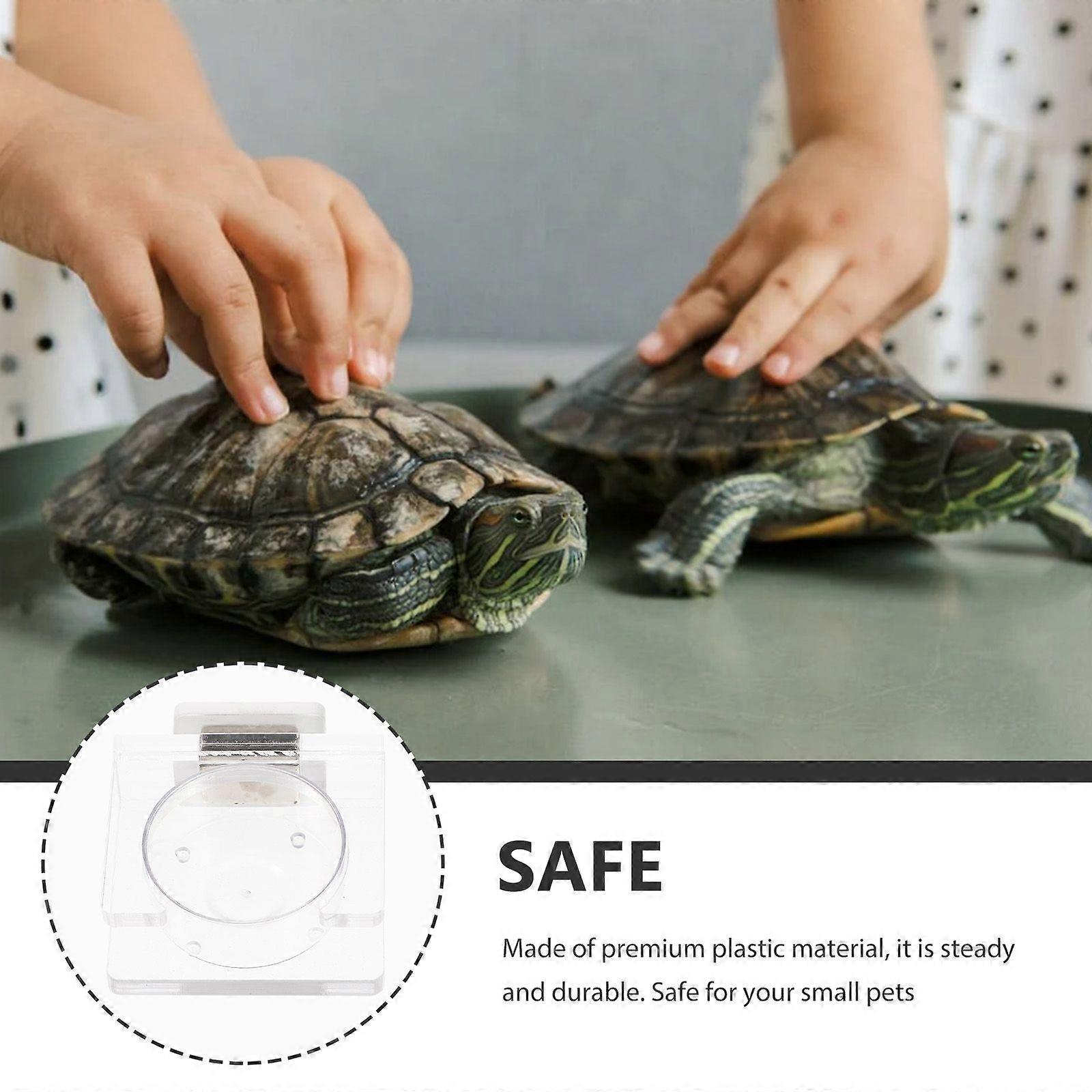 Reptile Feeders Small Reptile Feeding Boxes Magnet Reptile Food Bowl Reptile Supplies