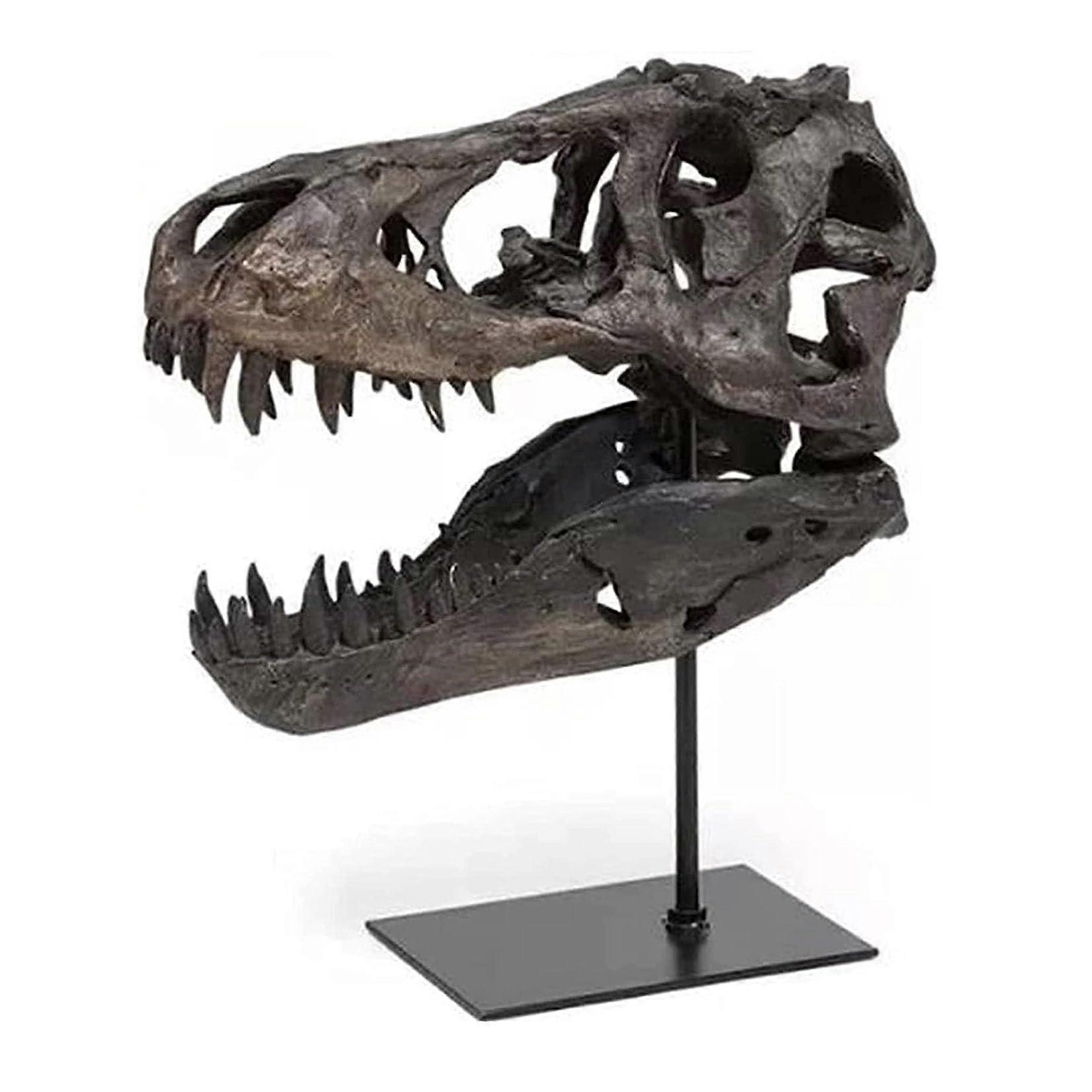 Dinosaur Skull Model With Stand Resin Archaeology Prop Fossil Replica For Teaching Dinosaur Lovers Gift Office Decor