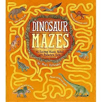 Dinosaurusdoolhoven: 45 spannende doolhoven boordevol prehistorische feiten (Arcturus doolhoven boordevol feiten)