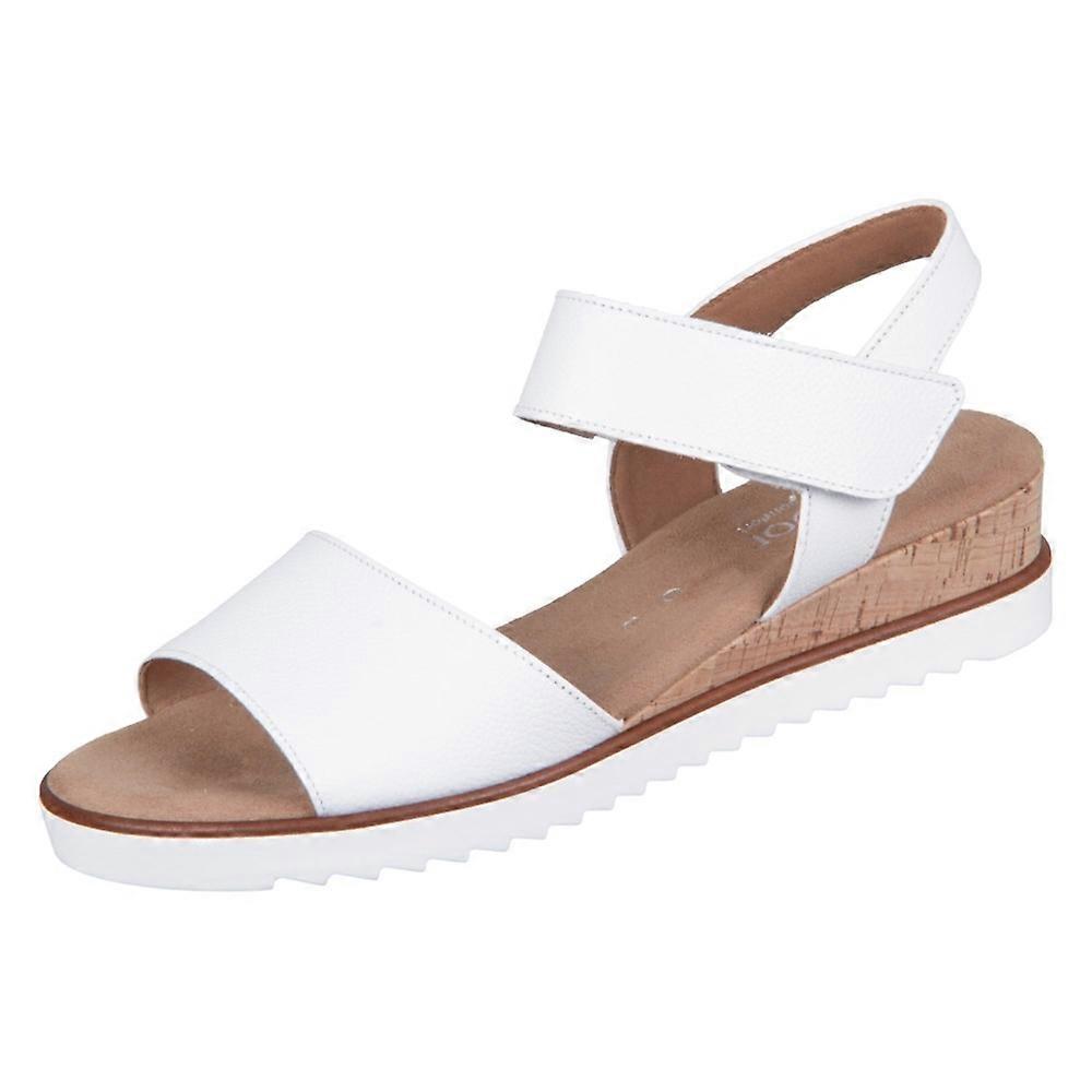 Shoes Gabor 8275050