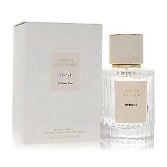 Atelier Des Fleurs Papyrus 50ml Eau De Parfum Ladies EDP Perfume For Her QYSLV