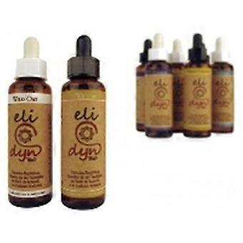 Holly 20 ml of floral elixir