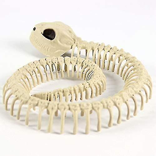 thumbnail image 1 of 1 modelo de esqueleto de serpiente de plástico con huesos de esqueleto, compatible con decoración de Halloween, accesorios aterradores de terror, 1 of 3