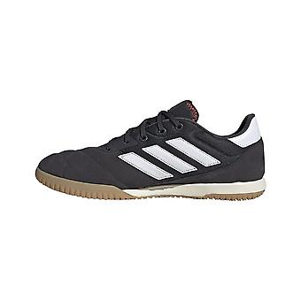 Adidas Copa Gloro IN HQ1032 football all year men