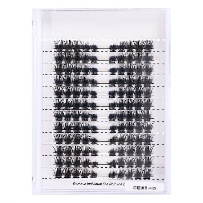 Individual False Eyelashes in Different Lengths and Styles Black