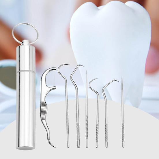 1 Set Metal Flosser Multipurpose Rust-proof Stainless Steel Great Portable Toothpick with Storage Case for Household