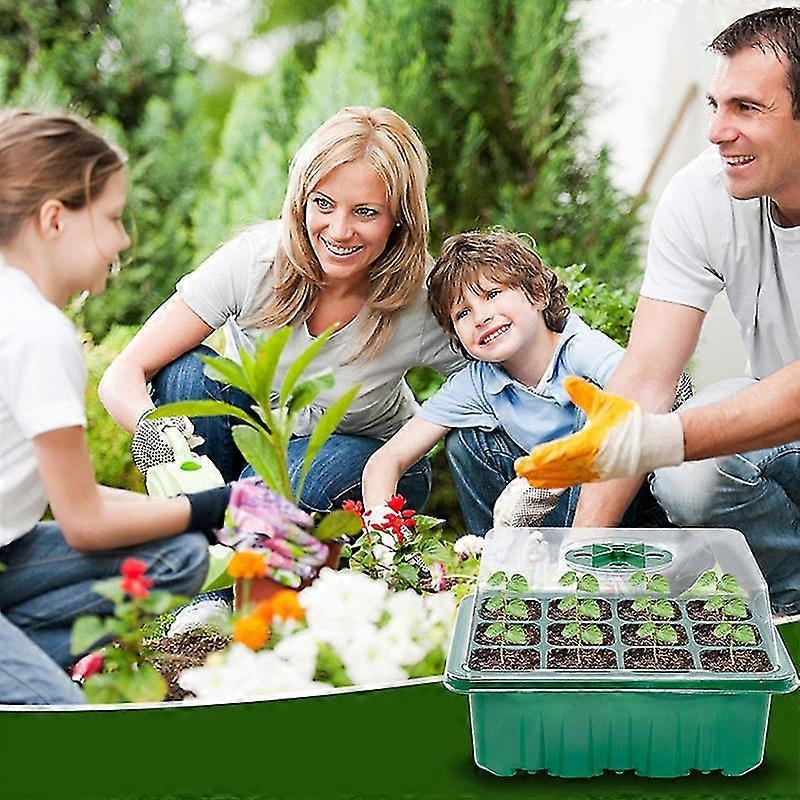 Seed Starter Trays With Grow Light Adjustable Humidity Seed Propagator Tray Set