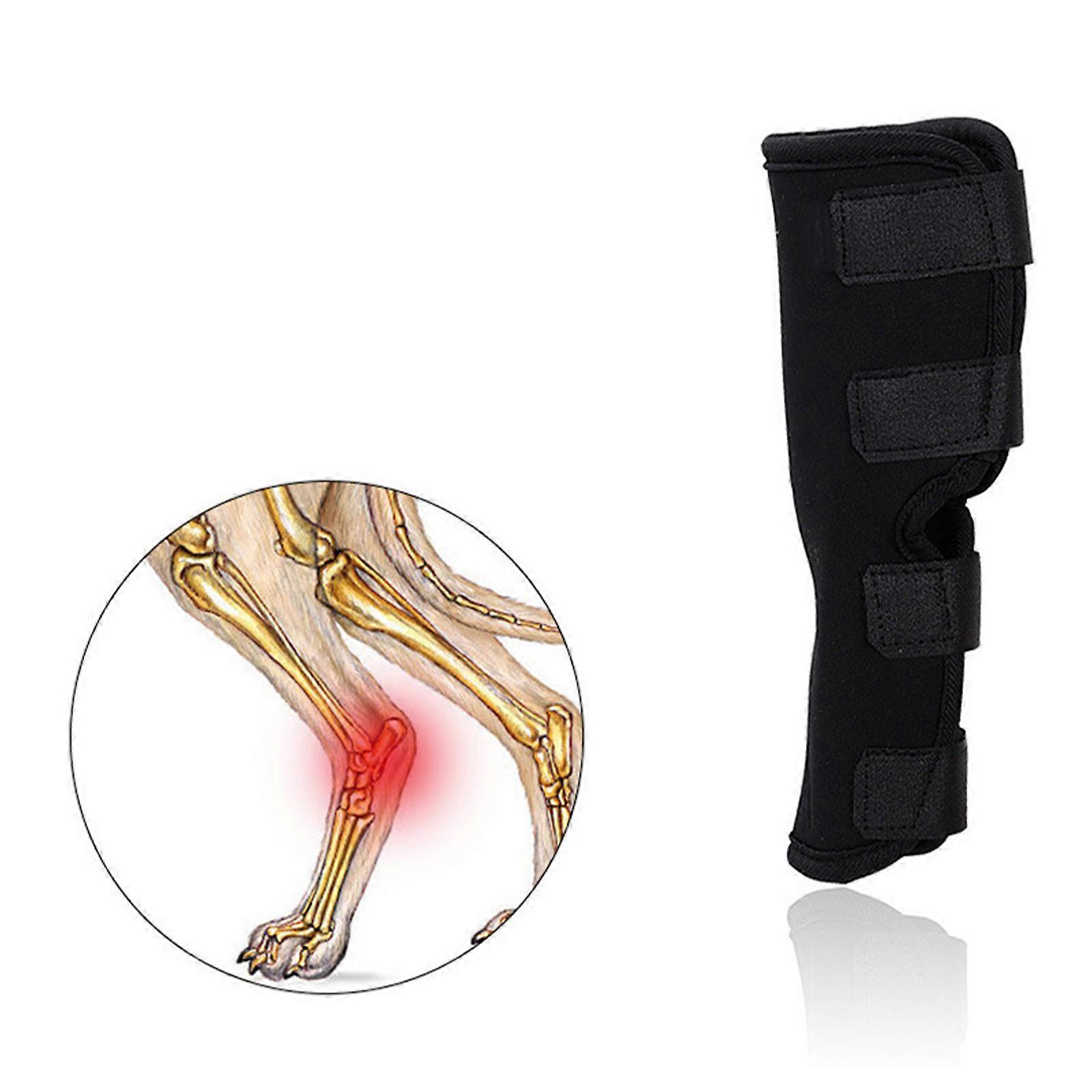 Tutore per ginocchio per cane Tutore per gamba posteriore Acl strappato Tutore per anca del cane per supporto, tutore per ginocchio ACL per rotula lussata