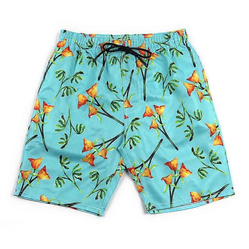 Mens Swim Trunks Quick Dry Beach Shorts