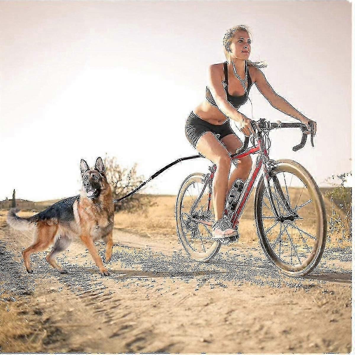 Evcil Hayvan Malzemeleri Bisiklet Köpek Yürüyüş Tasması Çıkarılabilir Çekme Köpek Bisiklet Köpek Yürüyüş Cihazı ile, Yükseltme