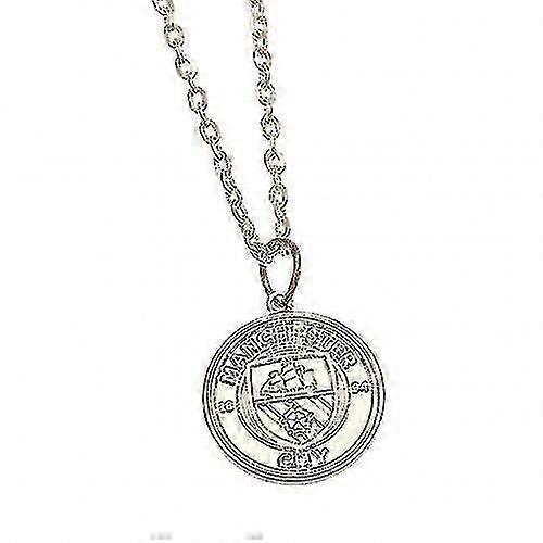 Hopeoitu harjakaulakoru ja riipus