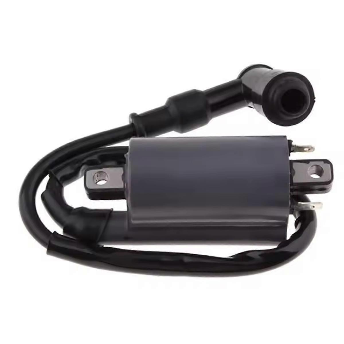 Ignition Coil for Buyang 260 260cc 300cc D300 G300 Motor