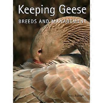 Keeping Geese Breeds and Management