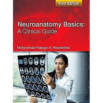 Neuroanatomie Basics: Een klinische gids