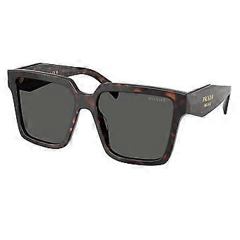 Prada PR 24ZSF Asian Fit 17N40L Full Rim Root Tortoise Women Square Sunglasses UV3 Original