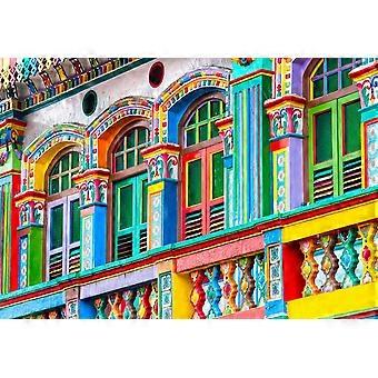 Coloured Facade, Singapore Puzzel 1000 Stukjes