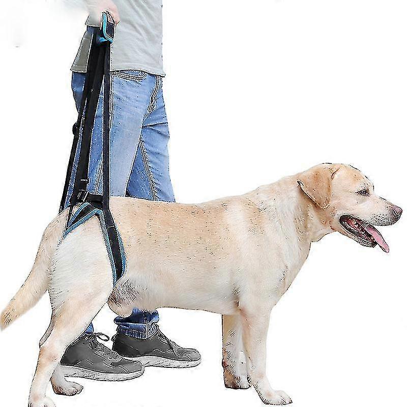 Adjustable Arthritis Support Harness For Dogs