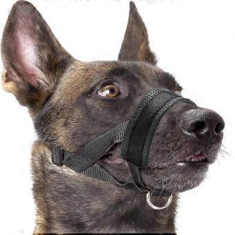 Nylon Soft Dog Muzzle, Anti-bit, Anti-bark, Anti-chew, Adjustable Ring (xl, Black)