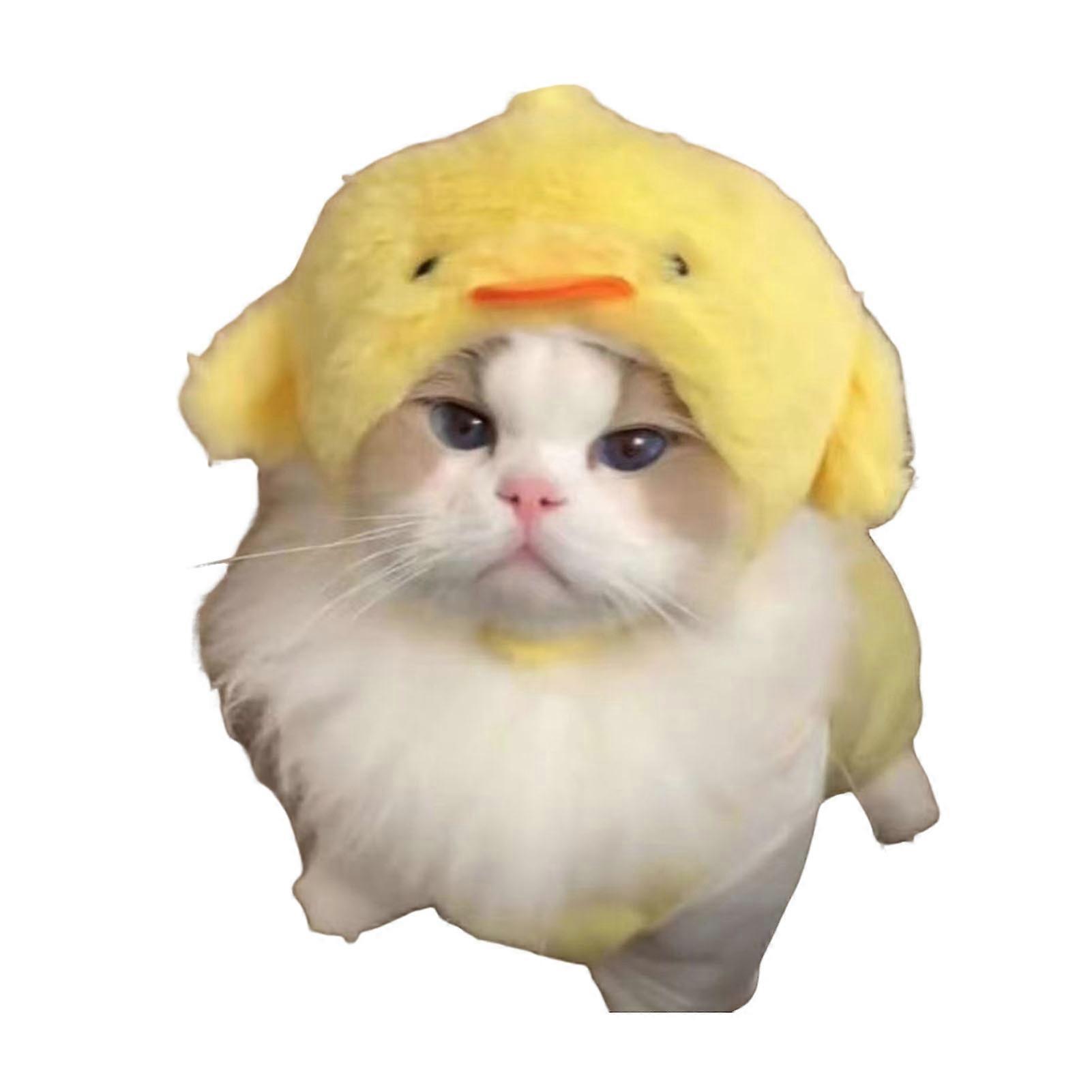 Soft Fuzzy Cat Hat Adjustable