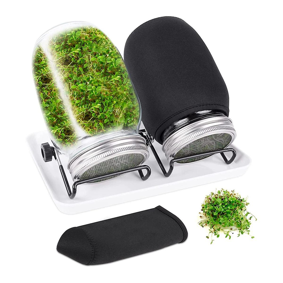 Seed Sprouting Jar Kit with 2 Wide Mouth Jars Bean Sprouts Growing Kit Growing Jar with Mesh Screen
