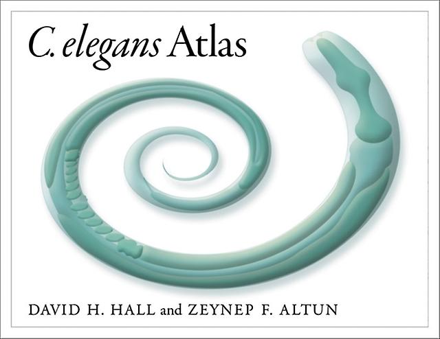 C. Elegans Atlas by Zeynep Altun Spiral bound Book