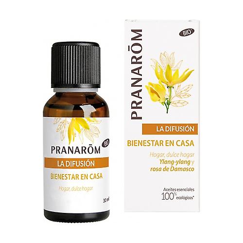 Synergy of Diffusion Wellbeing at home 30 ml of essential oil (Cinnamon - Orange - Vanilla - Ylang-Ylang - Patchouli)