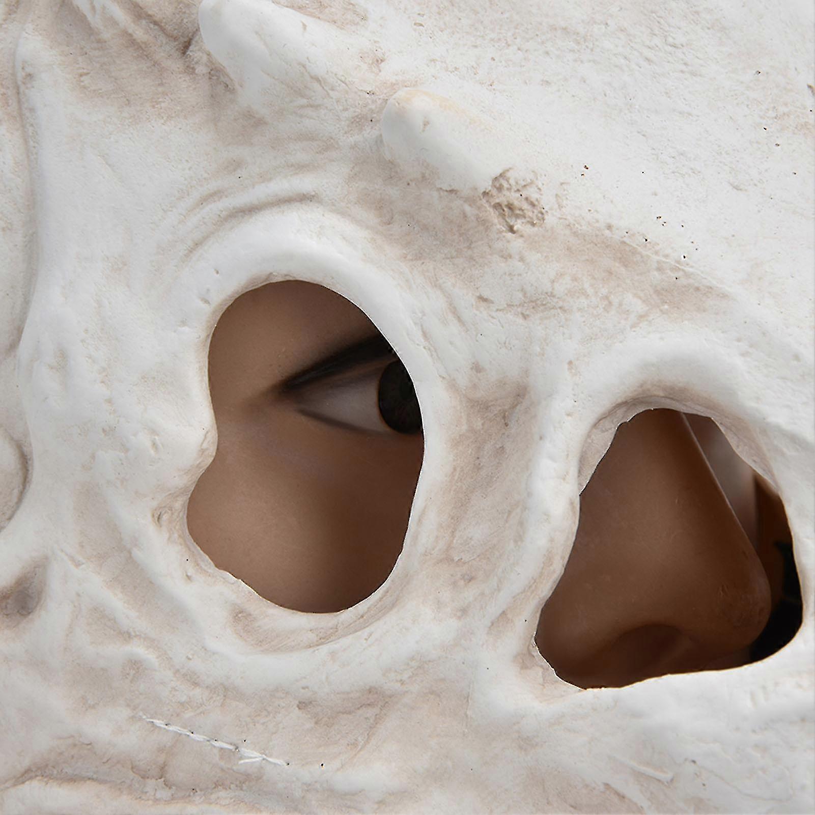 thumbnail image 2 of Plush Dinosaur Head Mask - White Animal Mascot Costume For Halloween & Parties 2 of 11