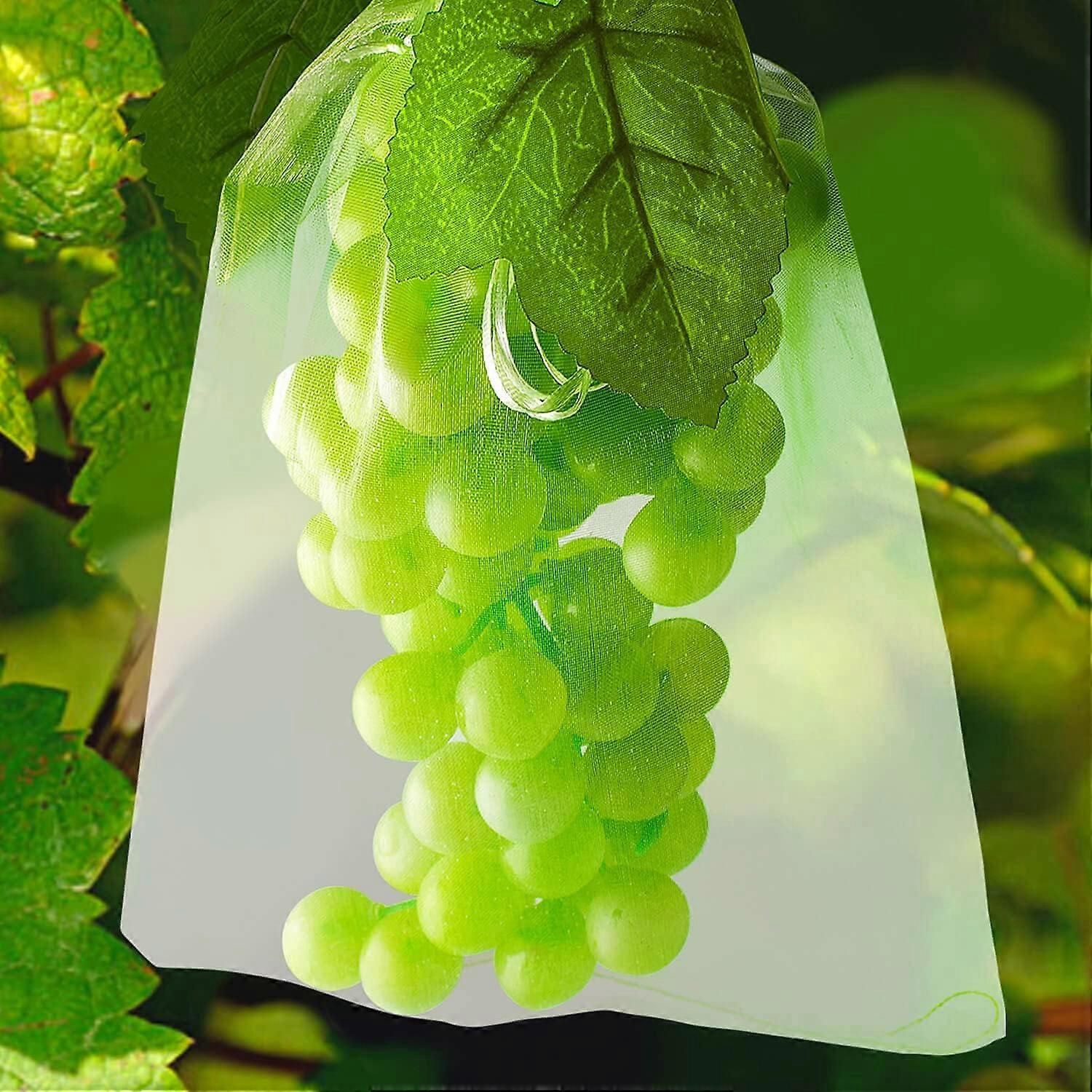 100 Fruit Protection Bag Net Bags Grape Bunch Protection Against Birds And Insects Wasps Hornets 30 x 20 cm