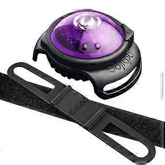 Light Up Dog Collar Dual Safety Light Purple