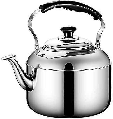 Stove Induction Whistling Kettle Stainless Steel InductionReady With SoftTouch EasyGrip Handle