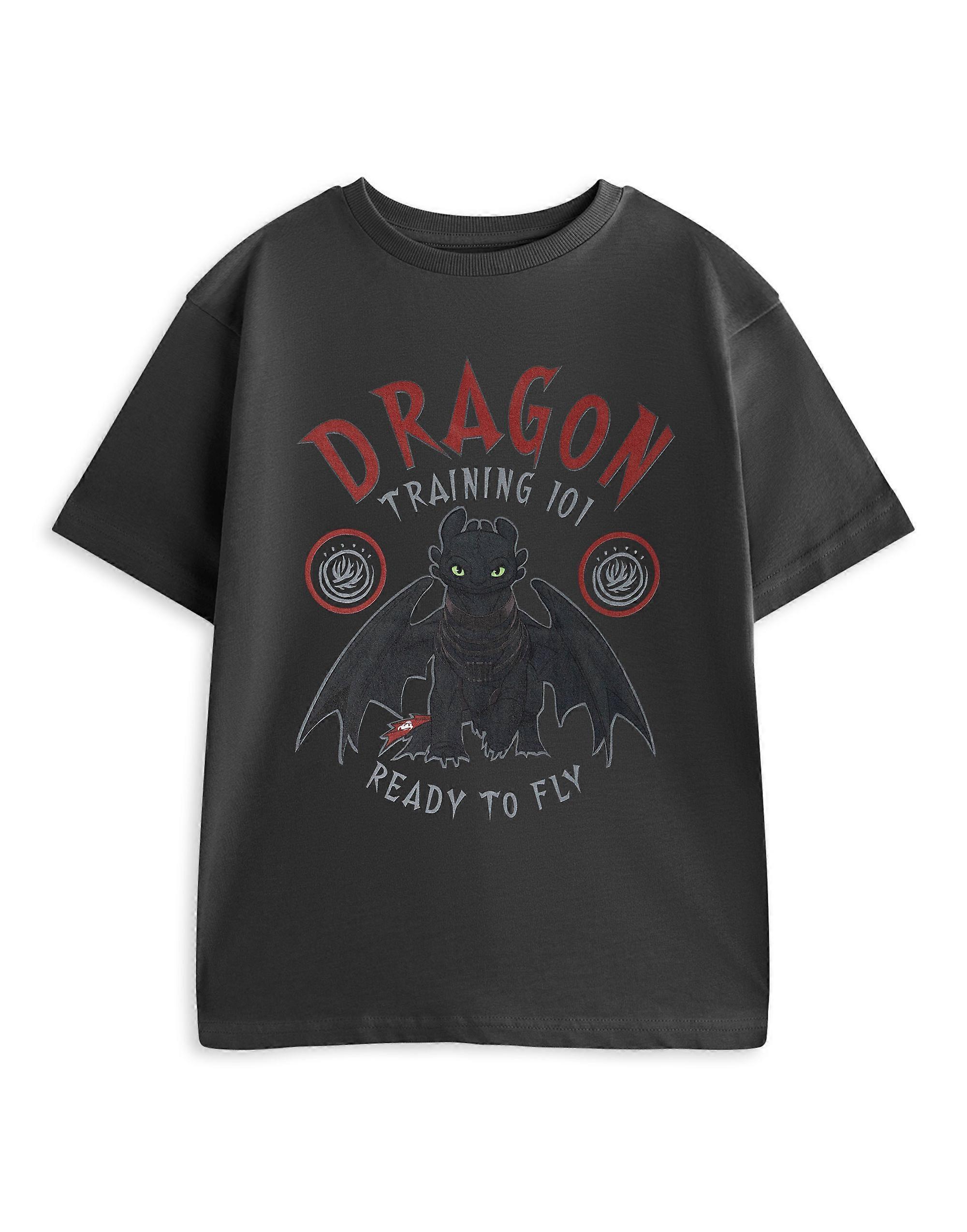 How to Train Your Dragon Boys Short Sleeved T-Shirt Grey Training 101