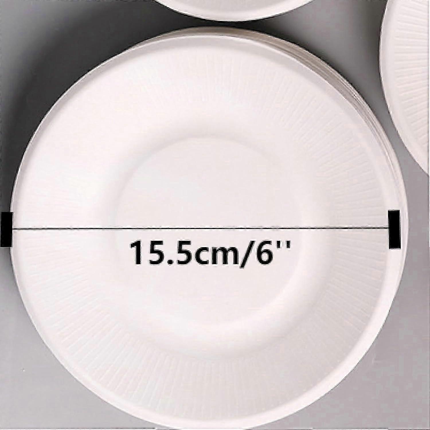 100 Stück Einweg-Pappteller, Essteller, BBQ-Pappteller, ThickenedC