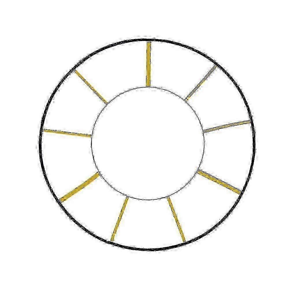 Agility Speed Training Ladder with Round Design Perfect Exercise Equipment