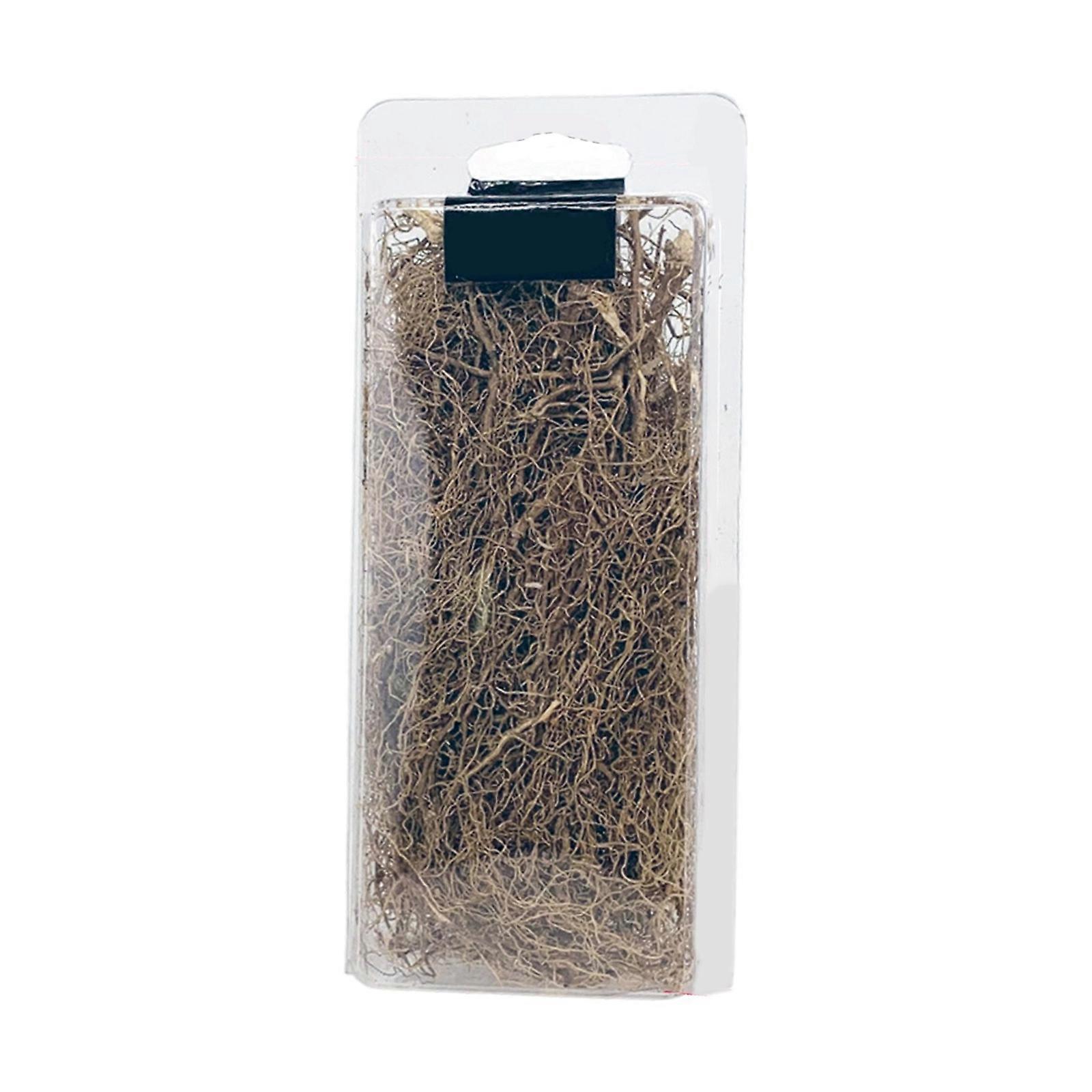 Realistic Wooden Plant Vine Root Model Set Creative Homes Decors Craft For Shelf Desktop Display Scenery Landscape Multicolor