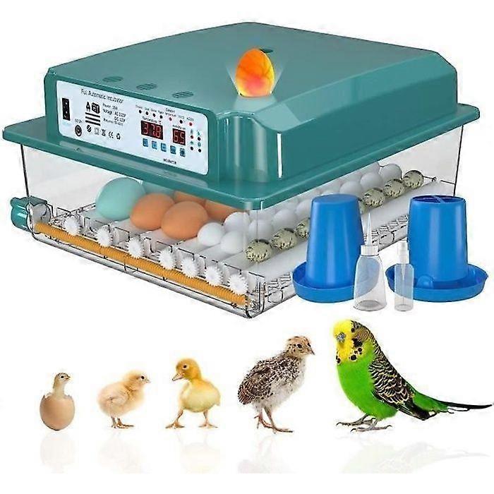 Automatic Egg Incubator 36 Eggs, Automatic Egg Incubator, Automatic Egg Turning and Humidity Monitoring-A