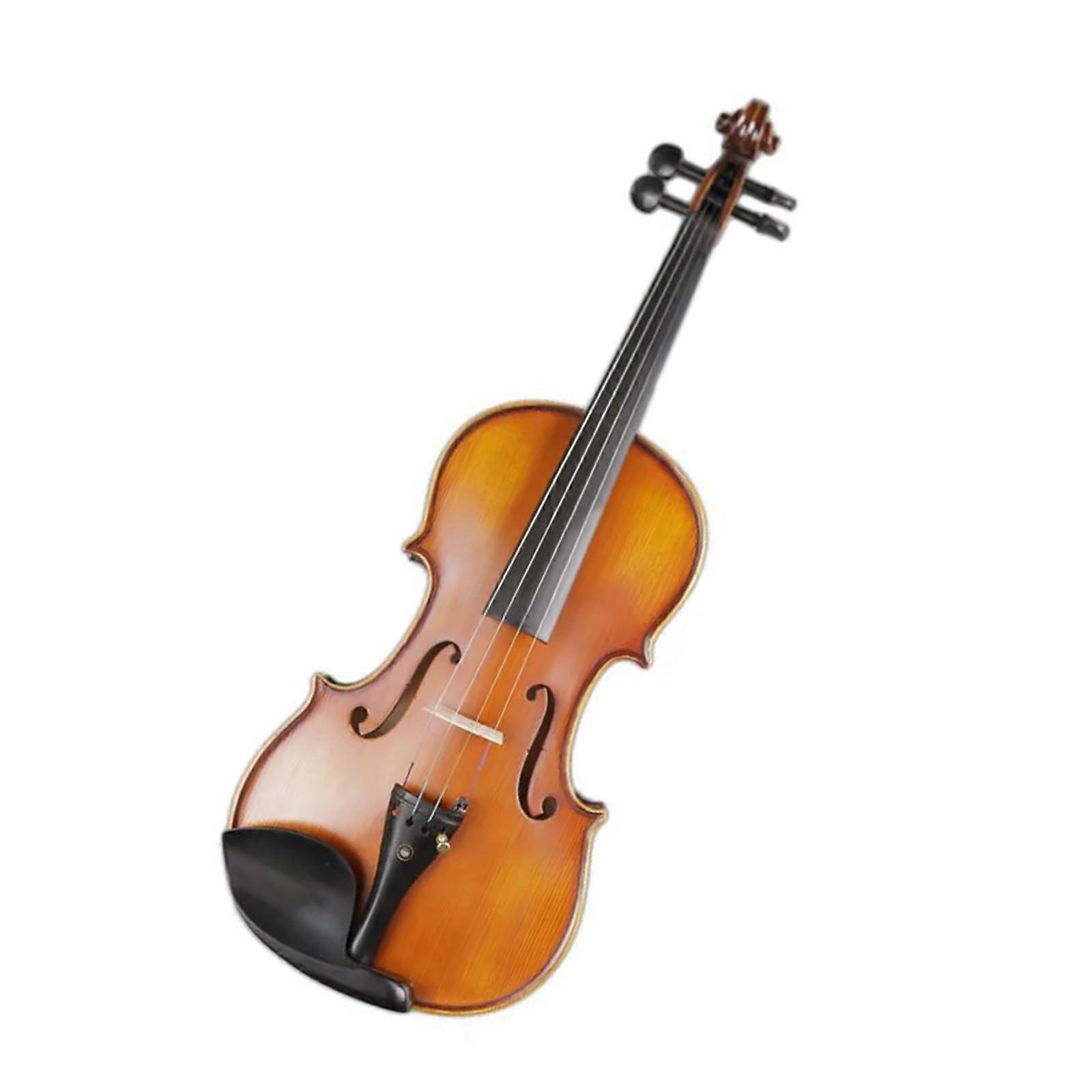 4/4 Violin for Beginners with Clear Vivid Tone, Lightweight Maple Back, Student Practice Use