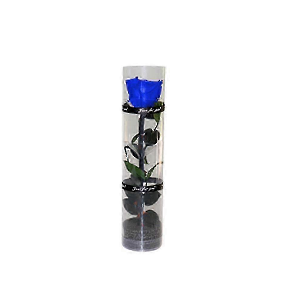 Rose véritable préservée, floraison éternelle - Durable et éternelle, qualité XY3