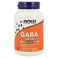GABA 500 mg 100 capsules (500mg)