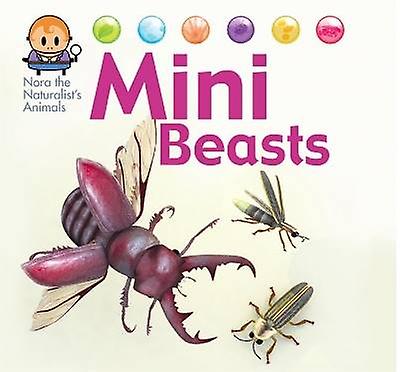 Nora the Naturalist's Animals: Minibeasts