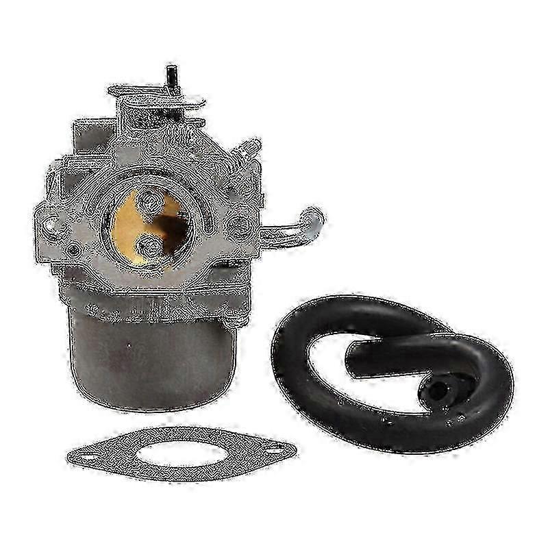 Replacement Carburetor 796077