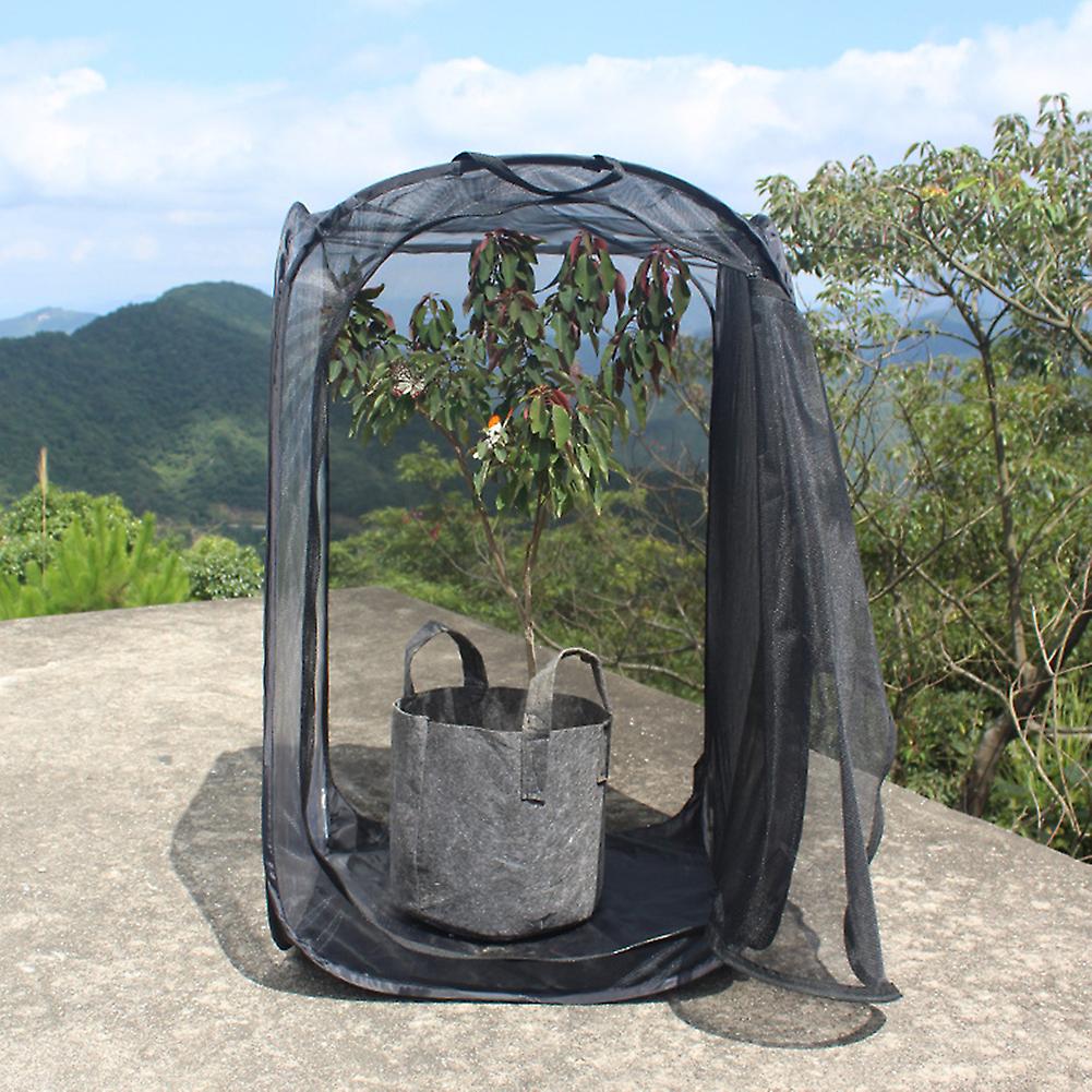 Black Collapsible Foldable Ventilated Insect Light Transmission Mesh Cage House