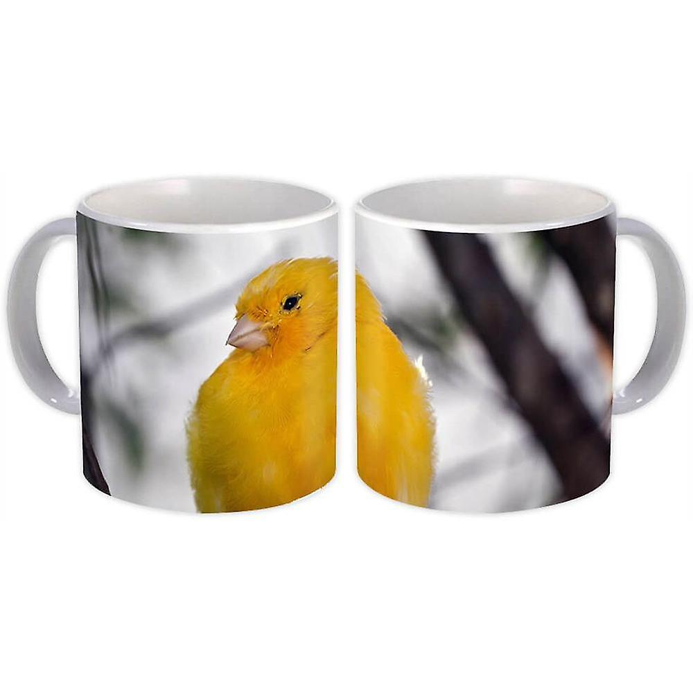 Gift Mug: Canary Bird