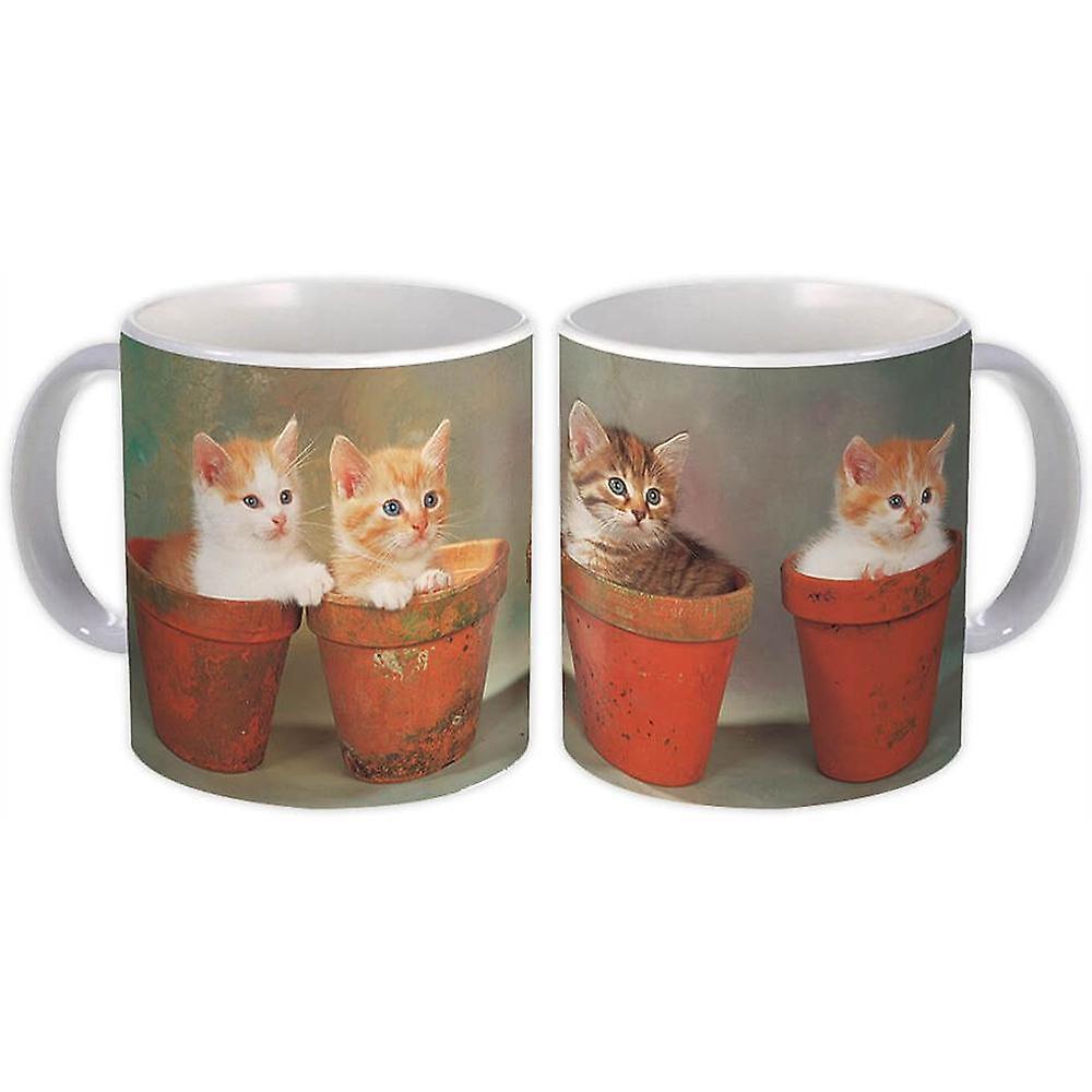 Gift Mug: Cat Animal