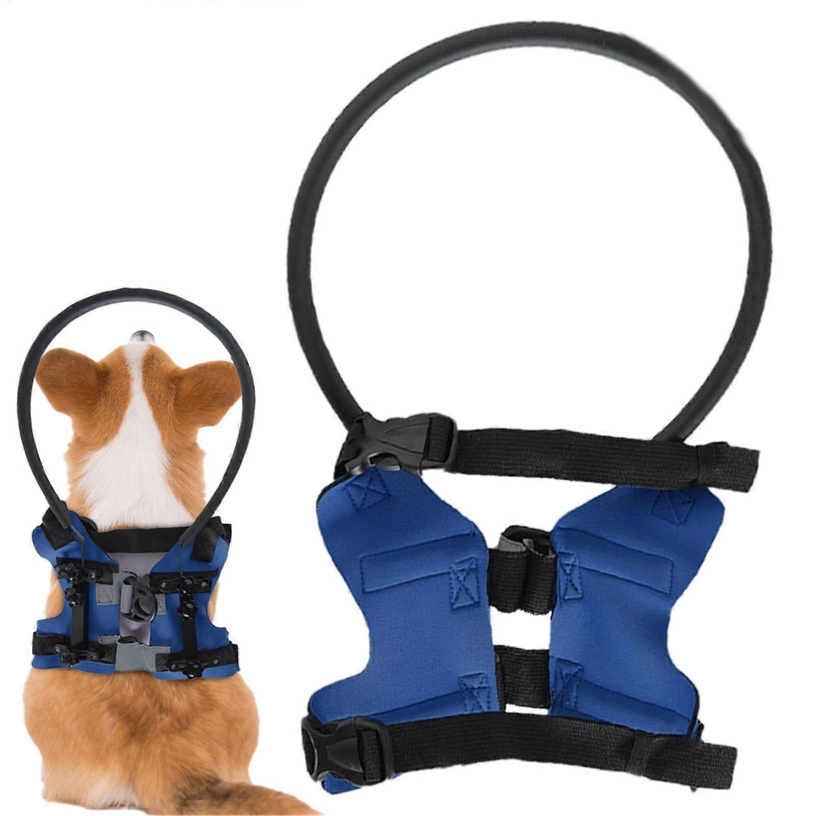 Blind Dog Bumper, Bumper Rings for Blind Dog, Comfortable Training, Adjustable Lightweight Bumper Blue