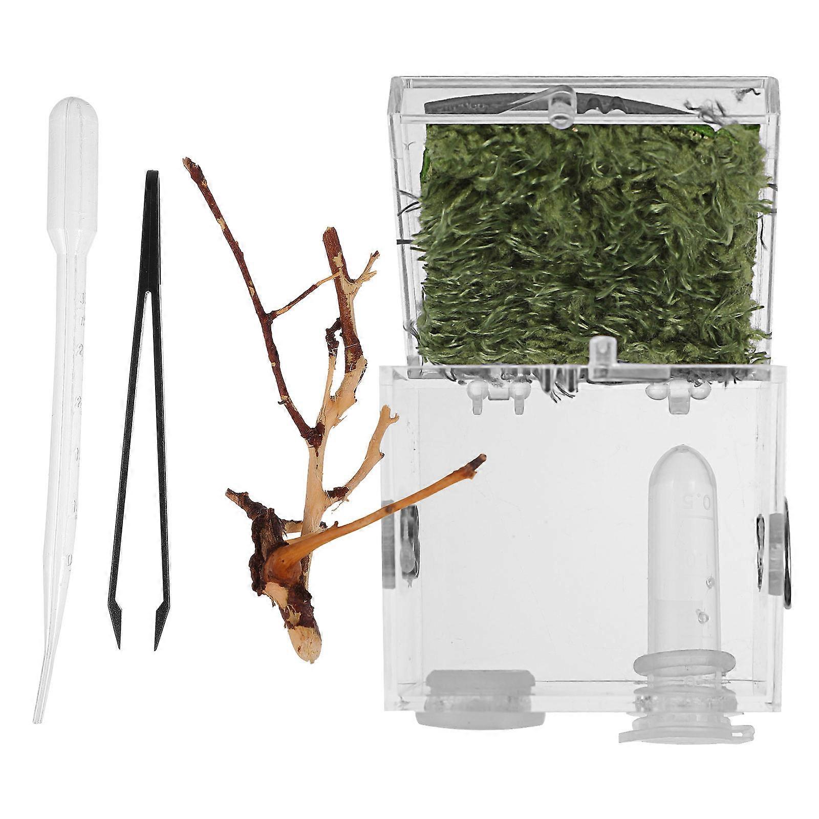 MultiColored Acrylic Reptile Breeding Box with Ventilation Holes for Pet Use 7.8 x 5.5 x 5.5 inches