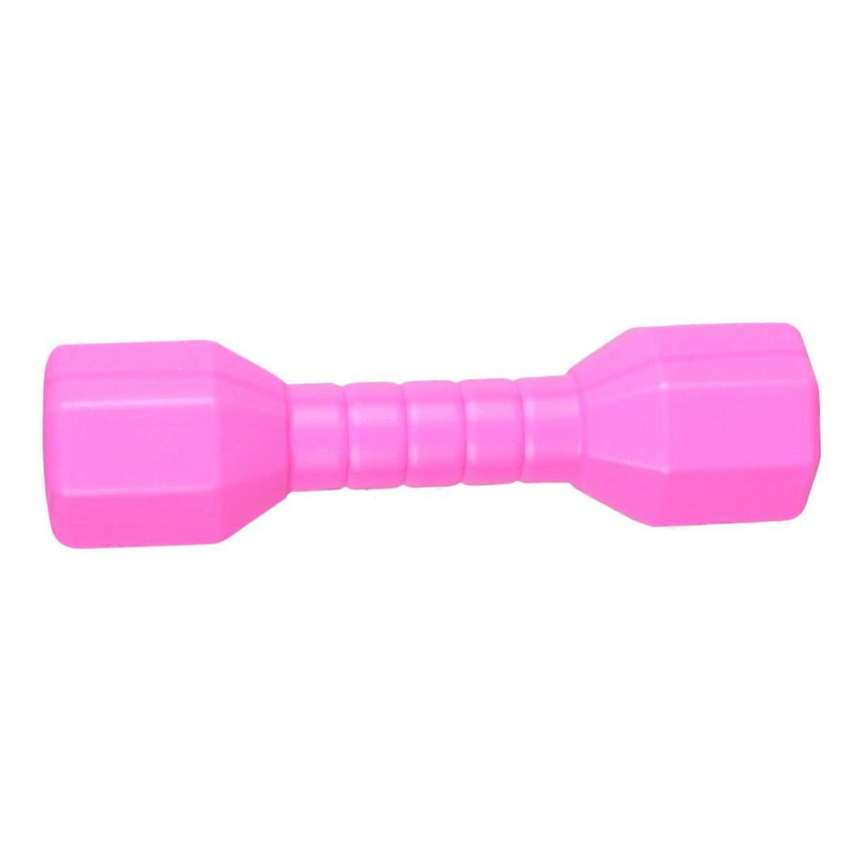 Barbells for Kindergarten Octagonal Dumbbell for Performance 4Pcs Pink
